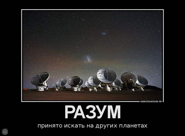 Всё тлен и суета, кроме радости 25