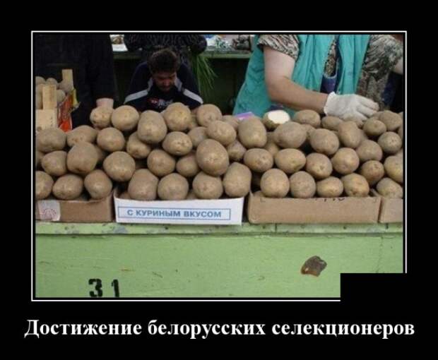 Демотиваторы (30 фото)