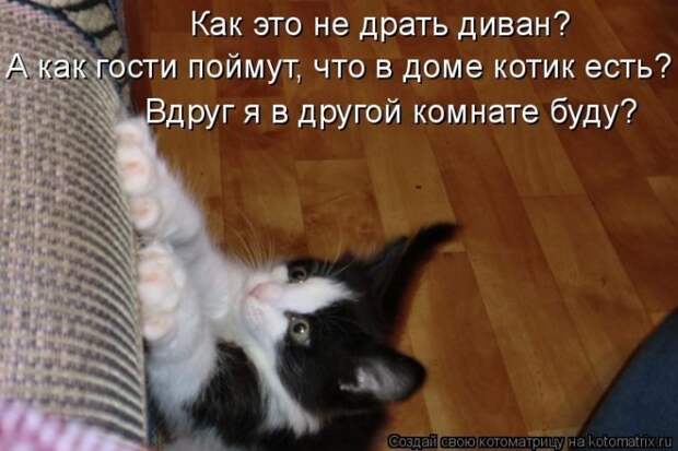 Мысли вслух :) №150118