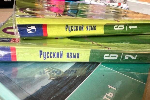 Школы получили новые правила разрешения конфликтов с учениками