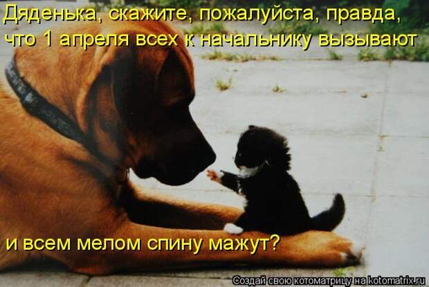 Мысли вслух :)