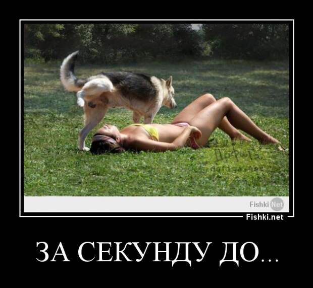 Демотиваторы демотиваторы, прикол, смех, юмор