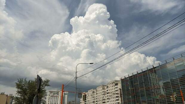 Дожди, грозы и туман ожидаются в Алтайском крае 17 августа