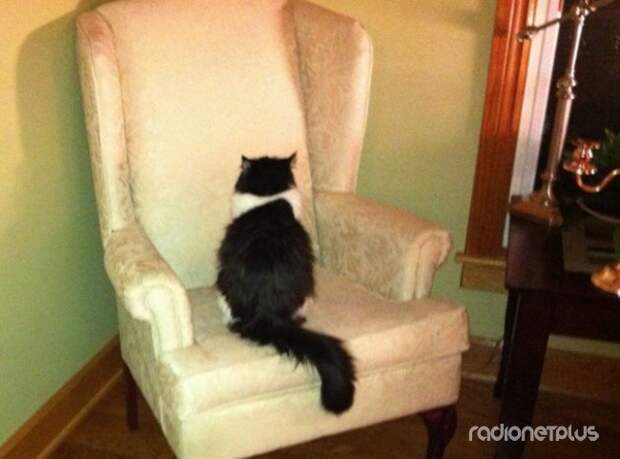 Найдет интересное занятие Найдет интересное занятие