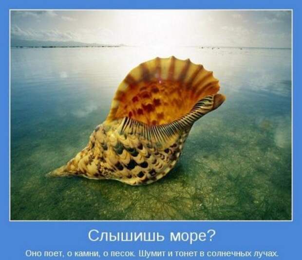 Картинки серьезные темы мотиваторы.