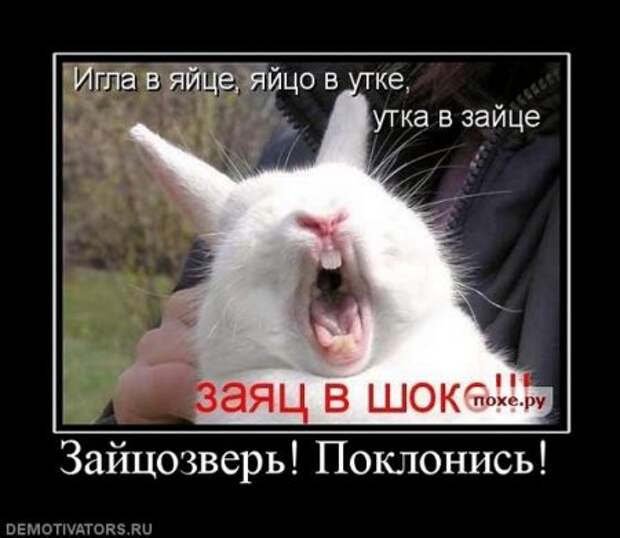 Демотиваторы про котэ, почти как котоматрицы!