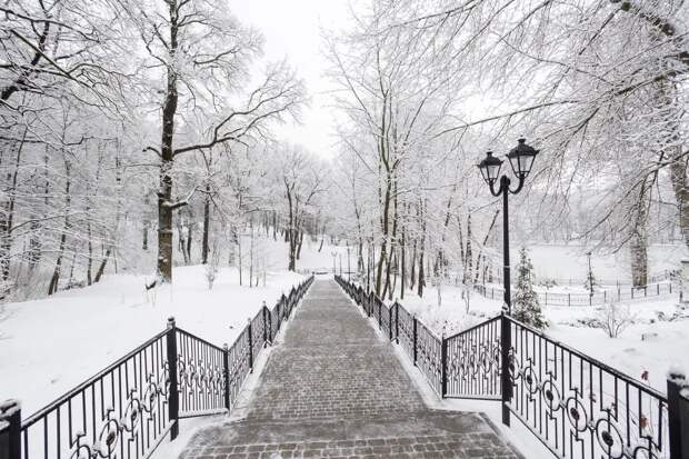 В Тульской области действует оранжевый уровень погодной опасности из-за мороза