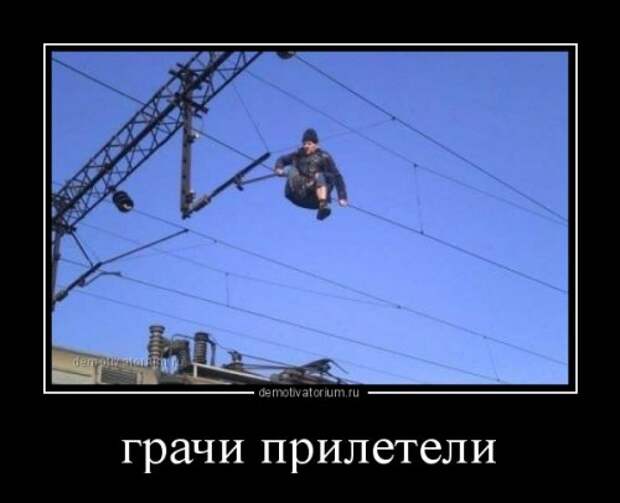 Демотиваторы-приколы для хорошего настроения (14 шт)