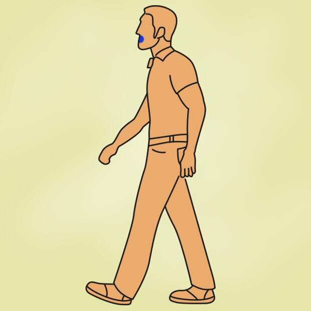 10 фактов о ходьбе, после прочтения которых хочется вытащить себя на прогулку.