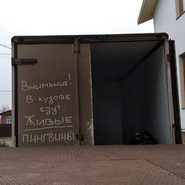 Внезапно Внезапно