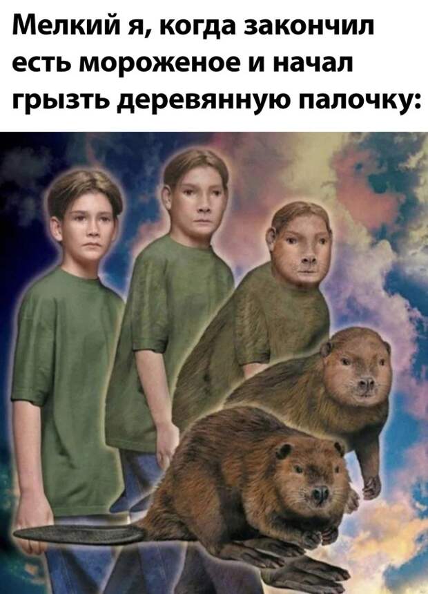 Смешные картинки 9 августа 2021 года