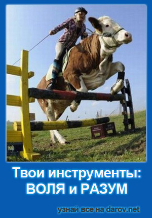 Достижение цели - воля и разум