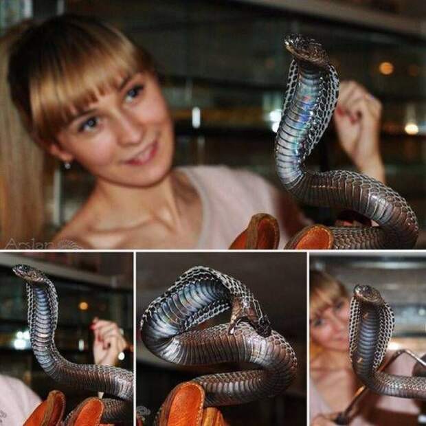 Прикольные картинки. Дневной выпуск (59 фото)