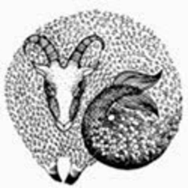 clip_image011
