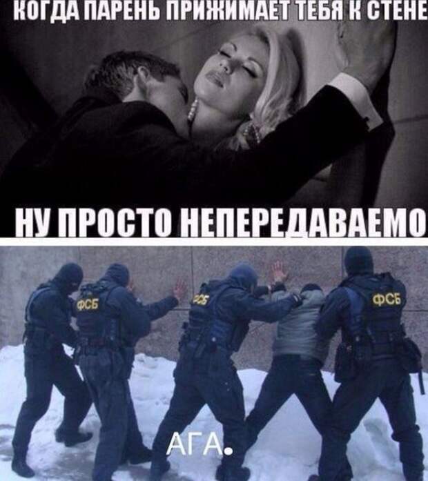 Весело до сумасшествия