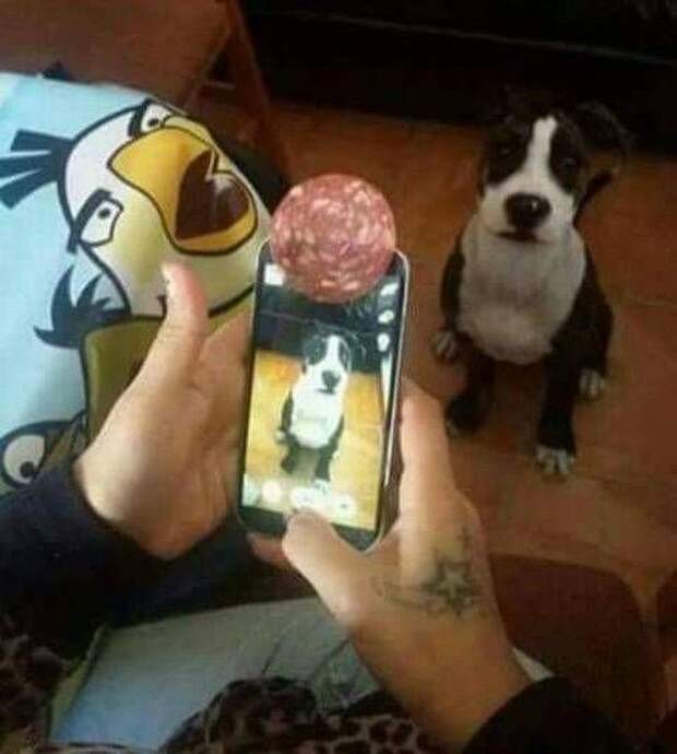 Прикольные картинки