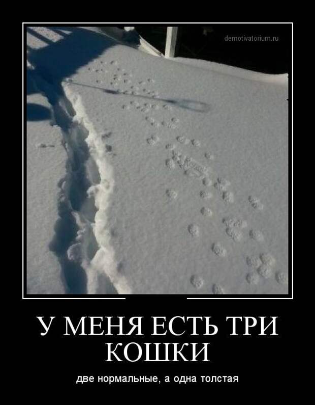 Обо всём.