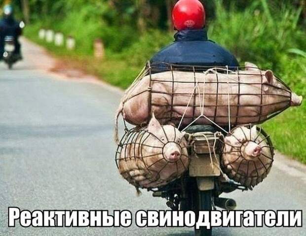 Подборка автоприколов. Часть 133 авто, автоприколы, приколы