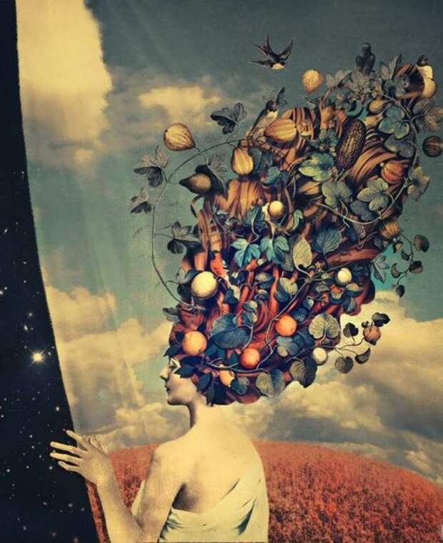 За тайной завесой. Автор: Marta Orlowska.