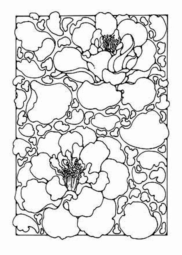 camellia (314x441, 94Kb)