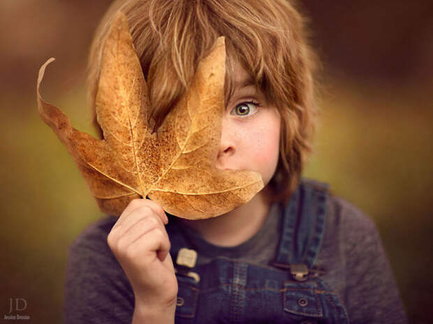 Кленовый листочек. Автор фото: Джессика Дроссин (Jessica Drossin).