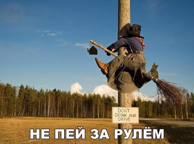 Смешные картинки с надписями прикол, юмор