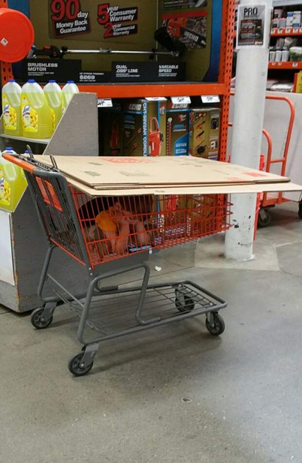 Классные и прикольные картинки (45 шт)