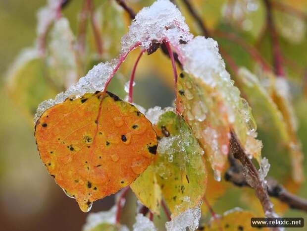 october_028 october_028