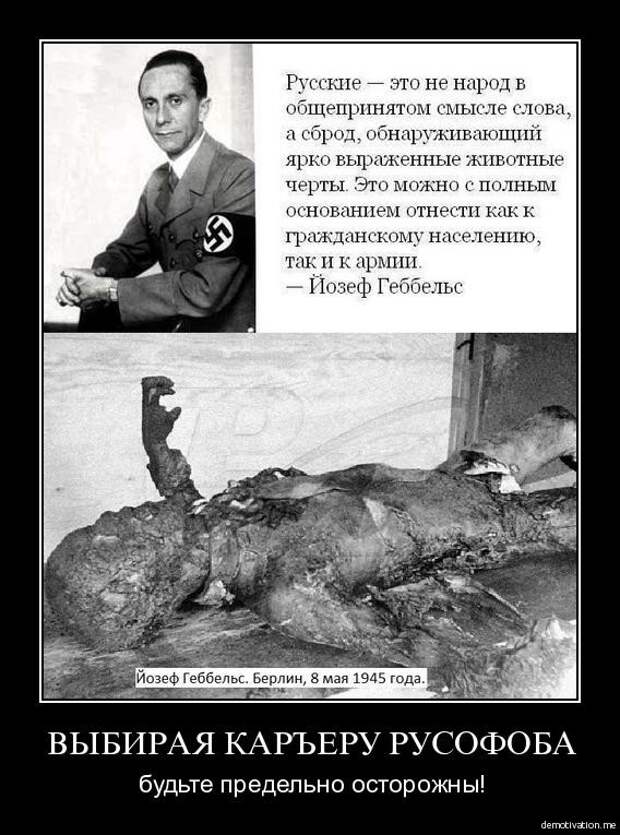 Трофейные танки Рейха война, история, трофейные танки