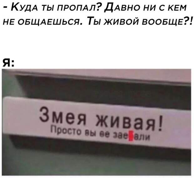 Смешные картинки вечер 18 августа 2021