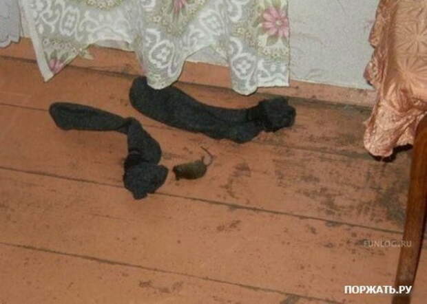 Фотоприколы смешные статусы в картинках.