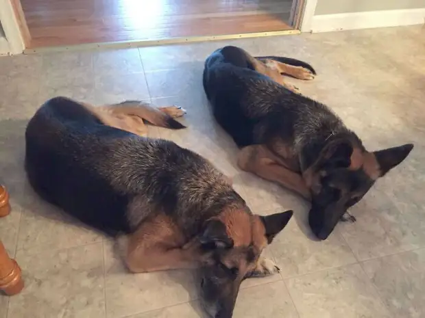 ���� � ������� ��� �������� ���������� � ���� ��������