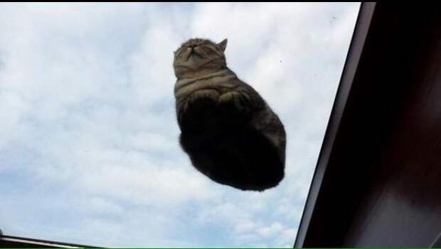 16. 16.