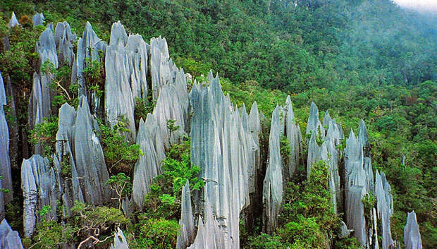 Вершины пиков из известняка в Национальном парке Мулу, Борнео.