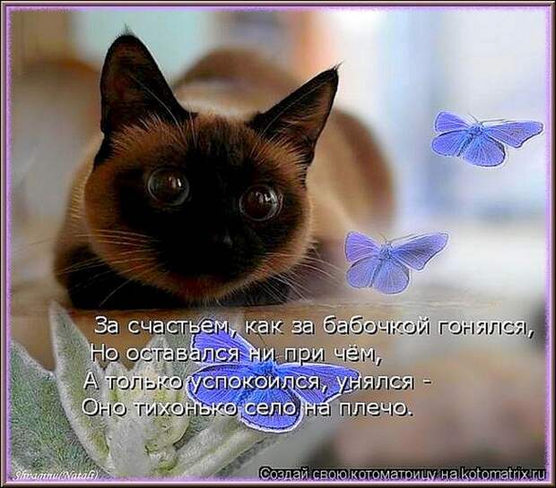 ЗА  СЧАСТЬЕМ...