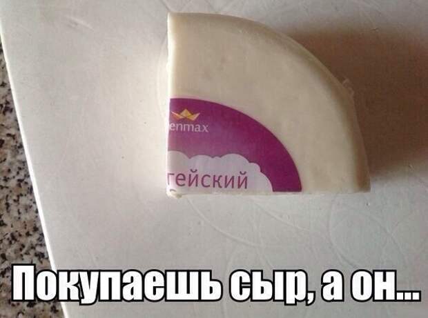 Смешные картинки с подписями катинки, прикол, юмор