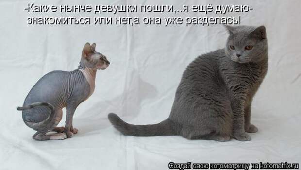 Мысли вслух :)