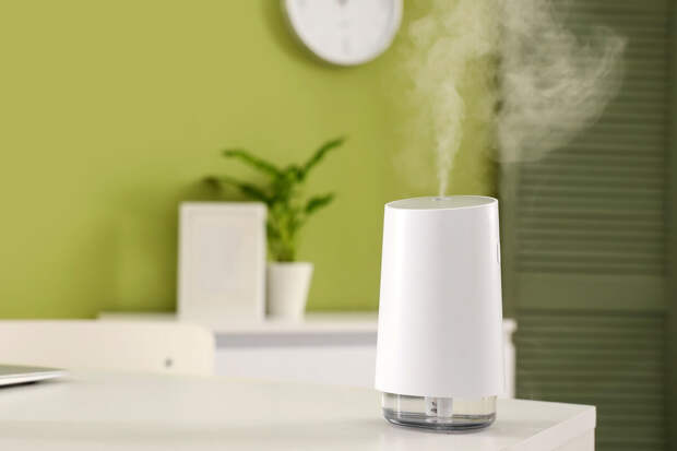 Врач Лавров: увлажнитель при плохом уходе становится источником бактерий