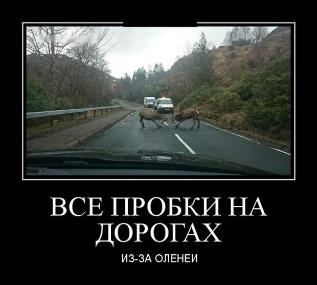 Демотиваторы (30 фото)