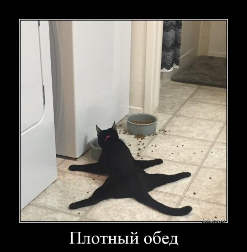 Прикольные демотиваторы (17 шт)
