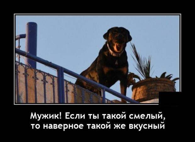 demotivatory-demotivator-smeshnye-demotivatory-demotivator-so-smyslom