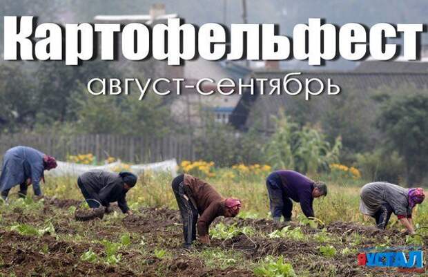 Смешные картинки с надписями прикол, юмор