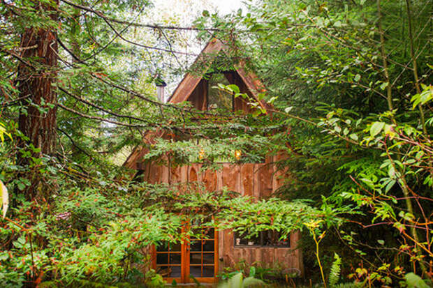 Japanese Forest House - домик в лесу.