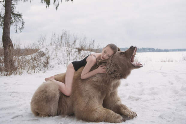 медведь и модели 
