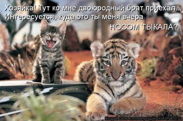 Мысли вслух :)