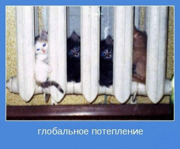 мотиваторы