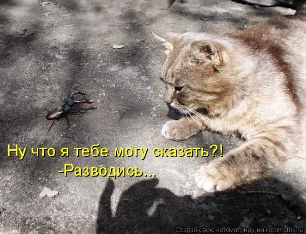 Мысли вслух :)