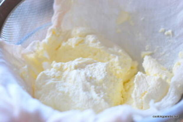 homemade cream cheese (7)