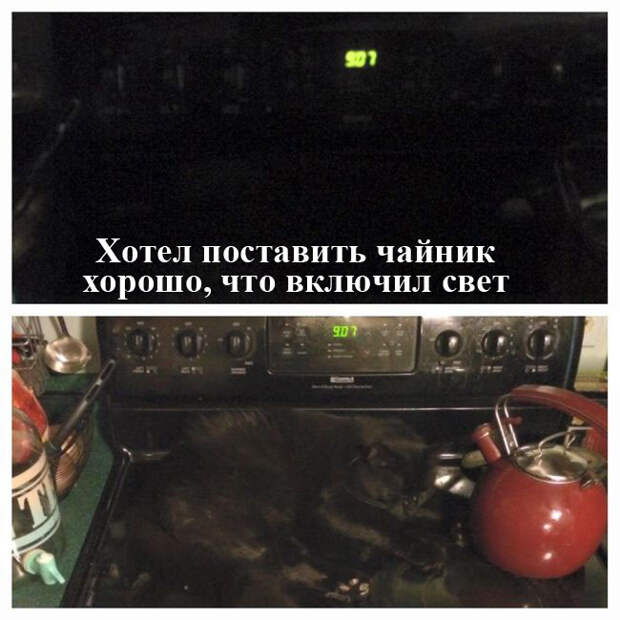 Прикольные картинки (91 фото)