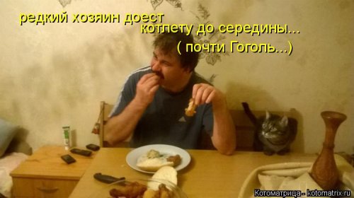 Новая котоматрица для всех (33 фото)